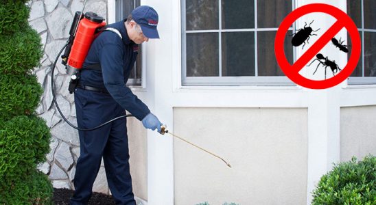 Altınyayla Dezenfeksiyon böcek ilaçlama ve haşere kontrolü — ilaclama-tr.com